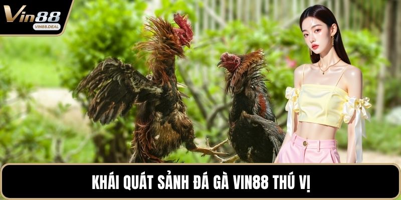 Khái quát sảnh đá gà VIN88 thú vị