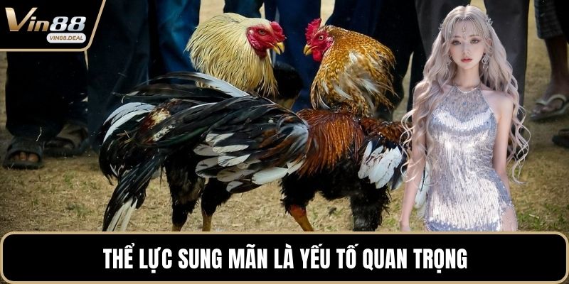 Thể lực sung mãn là yếu tố quan trọng