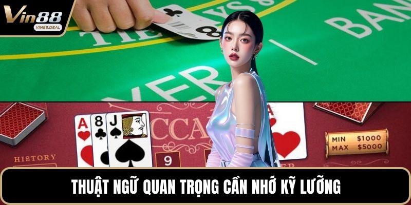 Thuật ngữ quan trọng cần nhớ kỹ lưỡng